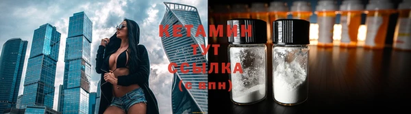соль ск Новодвинск
