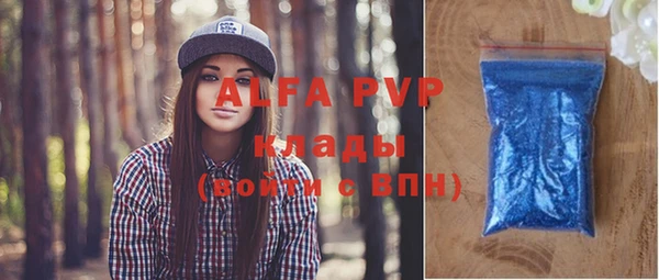 стаф Кущёвская