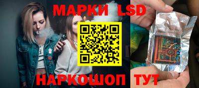 гашик Донской