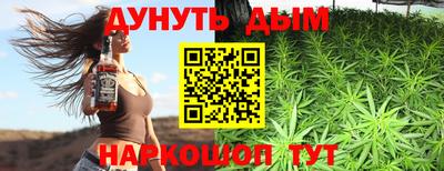 гидра Дубна