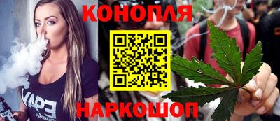 гашик Донской