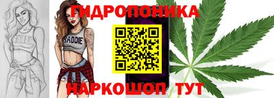 гашик Донской