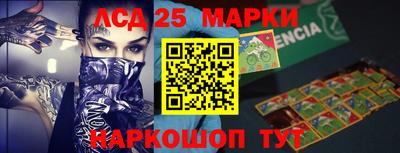 гашик Донской