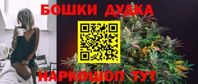 гидра Дубна