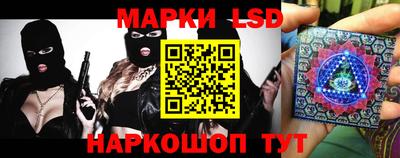 гашик Донской