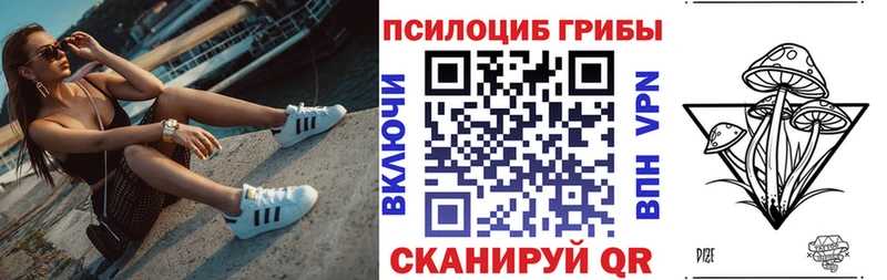 Псилоцибиновые грибы Cubensis  Казань 